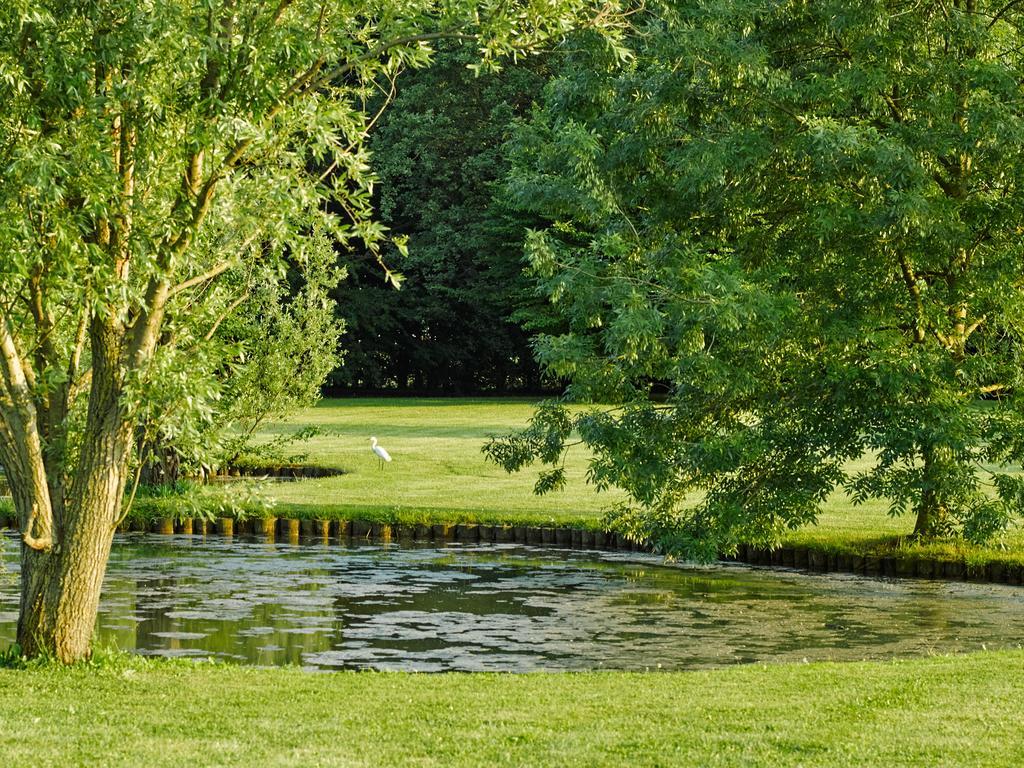 Relais Agrituristico Ormesani Villa San Liberale Eksteriør bilde